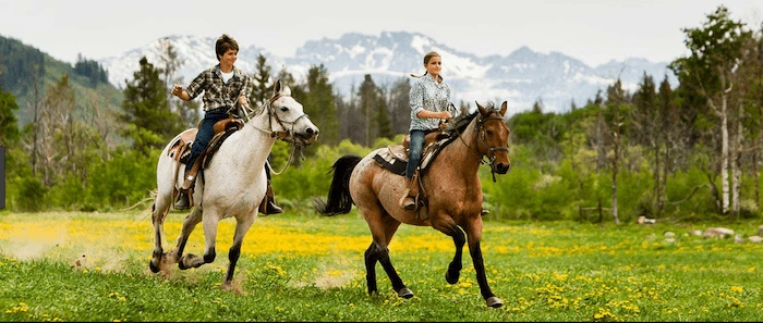 Confident plus-size woman riding Caversham a horse through a field with a smile on her face.